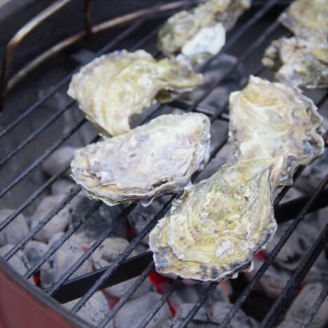 Grilled Mexican Oysters | Bush Cooking