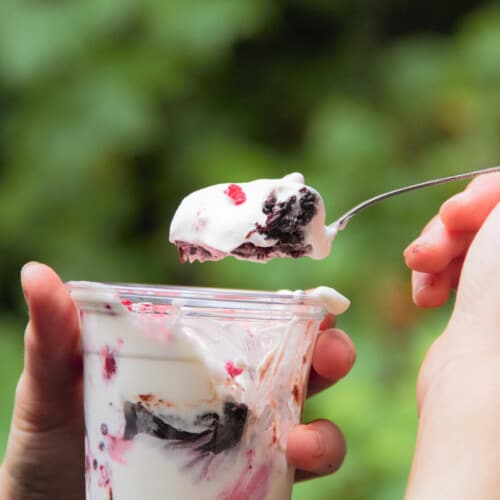 Chocolate Berry Brownie Parfait Bush Cooking