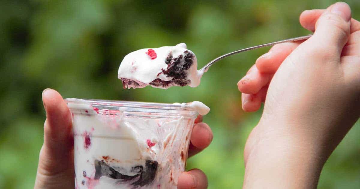 Chocolate Berry Brownie Parfait | Bush Cooking