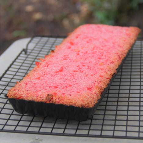 A full cherry slice on a cooling rack after baking the cherry filling layer but before adding the chocolate topping.