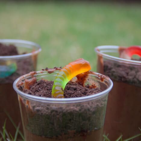 Looking into a chocolate dirt pudding cup with a colorful gummy worm poking out, on a grassy background.