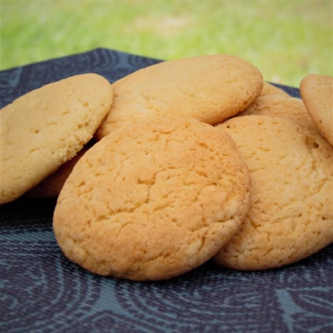 A pile of golden brown cream cheese cookies sit on a blue patterned napkin with grass in the background.