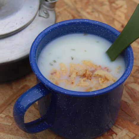 A close up shot of a blue camp mug filled with the potato soup and garnished with dried onions.