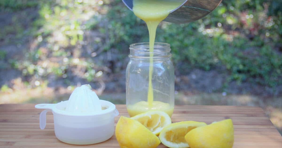 Lemon Curd | Bush Cooking