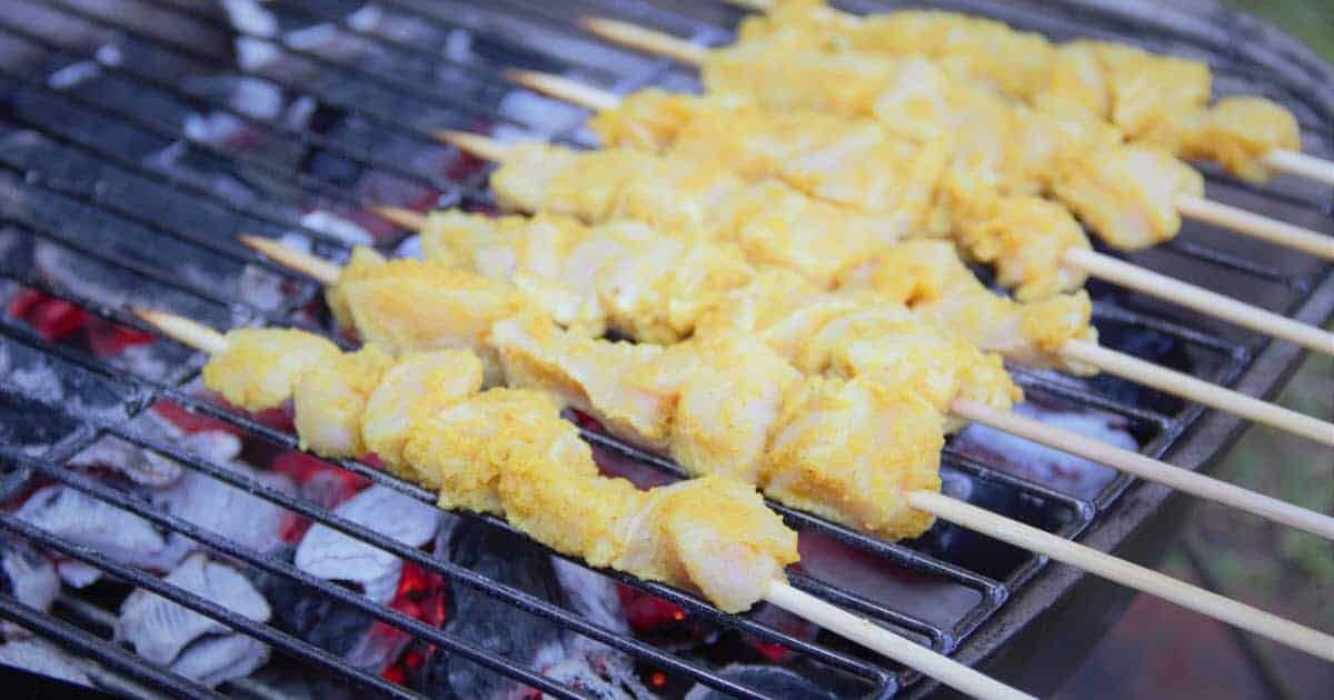 Grilled Asian Chicken Satay | Bush Cooking