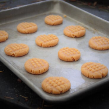 A batch of twelve peanut butter cookies on a baking tray ready to cook.