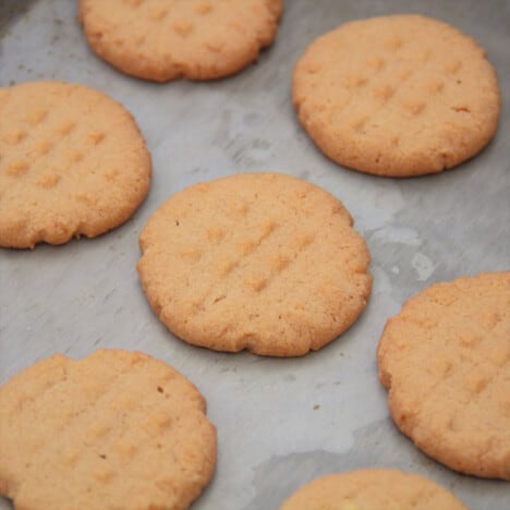 Cooked peanut butter cookies sitting on a tray.