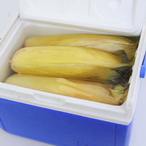 Four cobs of cooked corn sitting in a small blue cooler with yellow husks.