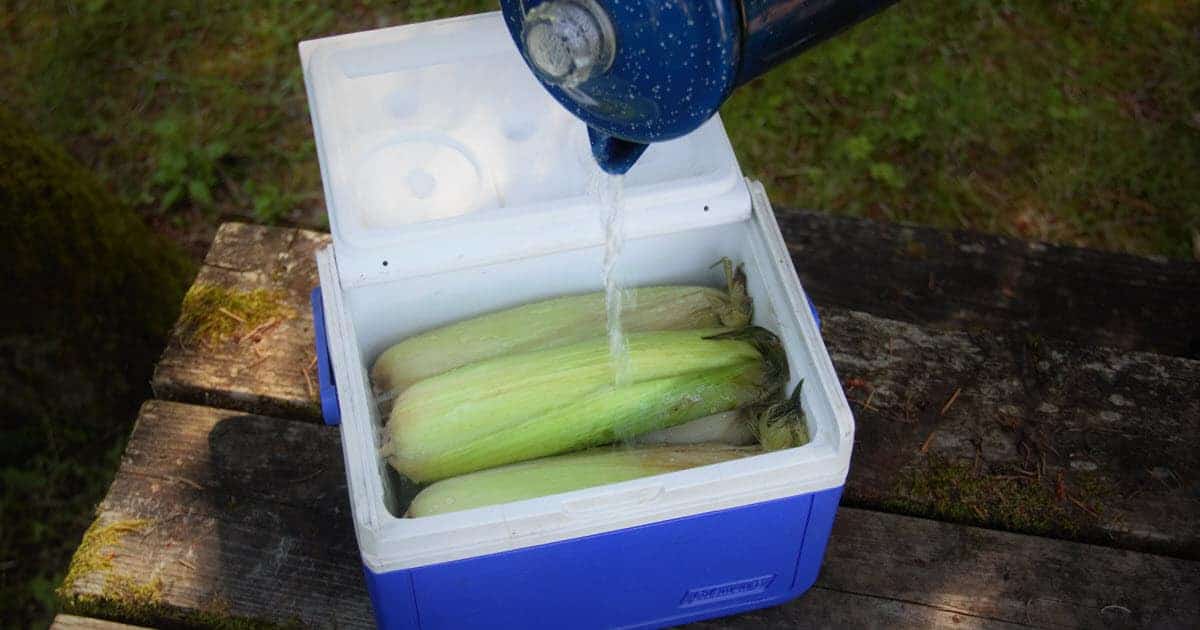 Easy Cooler Corn Bush Cooking