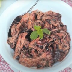 A bowl of pulled lamb garnished with fresh mint in the center.