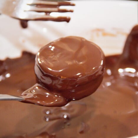 A peppermint cream being held with a fork having just been dipped in the chocolate coating.