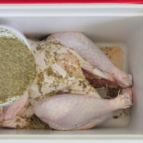 Cooler Turkey Brine Bush Cooking