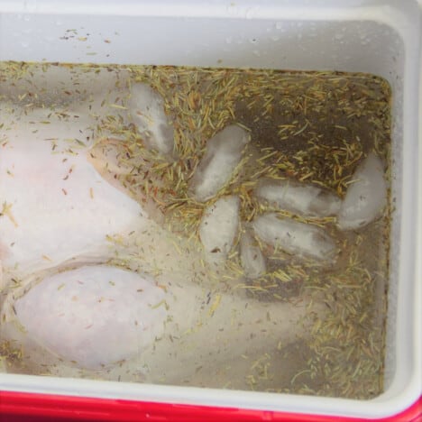Ice cubes floating around a raw turkey submerged in a brine in a cooler.