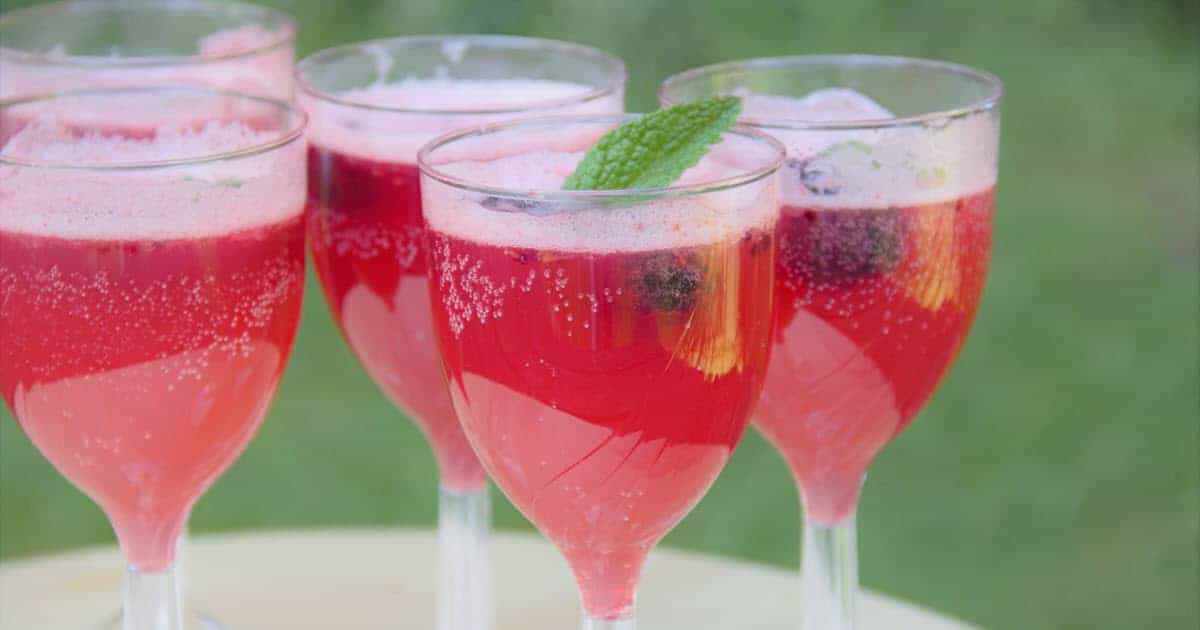 Blackberry Summer Mocktail | Bush Cooking