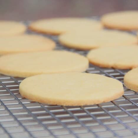 Looking across a cooling rack with the homemade biscuits cooling.
