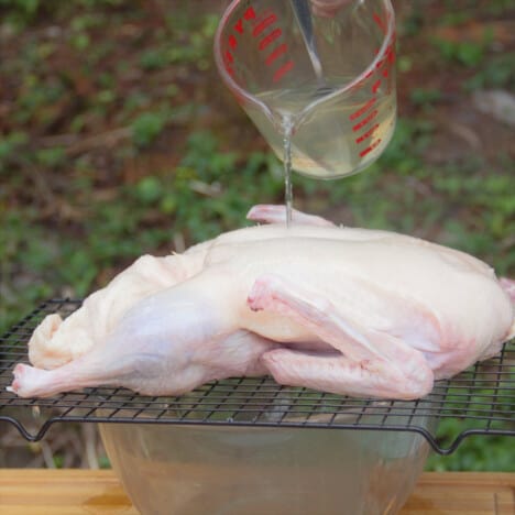 A raw duck sitting on a cooling rack while boiling water is slowly being poured over it.