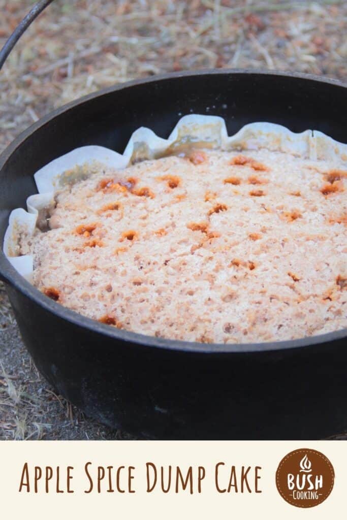 Apple Spice Dump Cake Bush Cooking Apple Spice Dump Cake Bush Cooking
