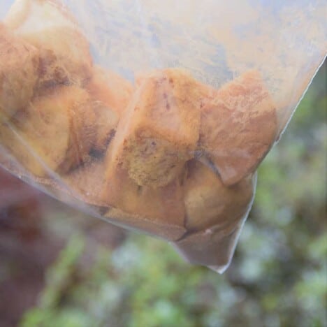 Rounds of raw biscuit dough are tossed in a sugar and cinnamon mixture in a resealable plastic bag.