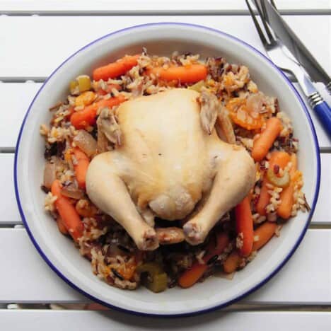 Looking down on a camp plate of a whole game hen sitting on a citrus and wild rice base.