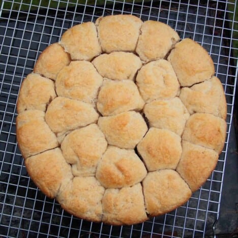 Looking down on a wire cooling rack holding the baked and cooling wholemeal bread rolls in a circle from the Dutch oven.