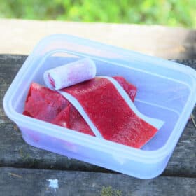 A plastiv container sitting on a picnic tasble with strawberry fruit leather pieces and a roll in it.