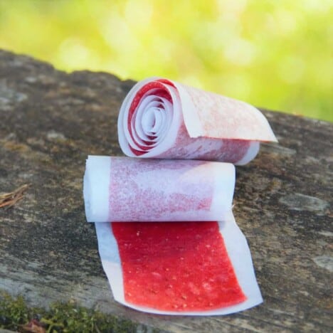 Two rolls of baking paper rolled strawberry fruit leather sitting on a picnic table.