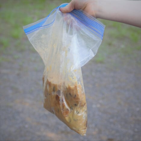 Holding a plastic sealable bag with a dense chocolate chip cookie dough inside.