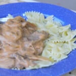 Beef stroganoff and bow-tie pasta is served on a blue camping plate.