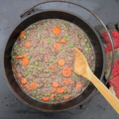 Looking straight down on the beef stew with the carrots and peas giving pops of color in the otherwise brown stew.