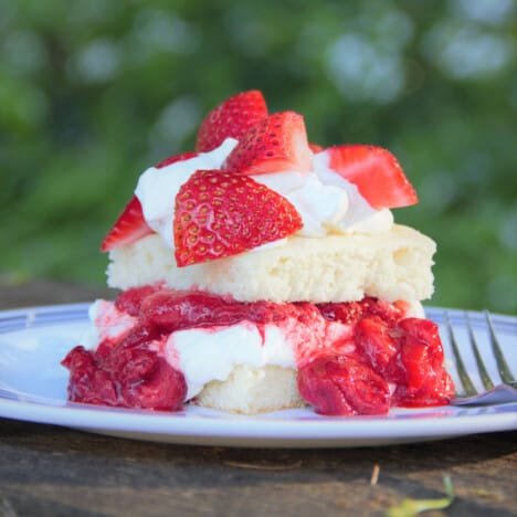 Side view of a stacked strawberry shortcake served on a camp plate with layers of cake, whipped cream, and fresh and canned strawberries.