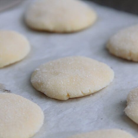 A close up of several pale gold sugar cookies sitting on a parchment lined baking sheet.