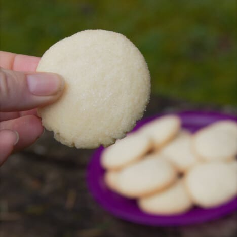 A white hand holding up a single sugar cookie, with a purple plate stacked with more cookies in the background.