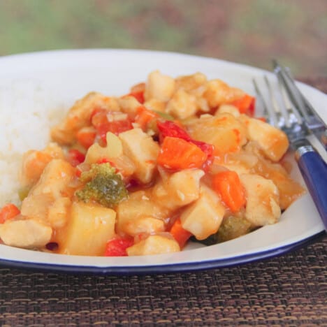 Looking across a camp plate with a hearty serving of sweet and sour chicken stew and a side of steamed rice.