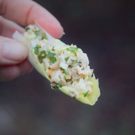 Fingers holding a single Belgian endive leaf filled with chicken larb.