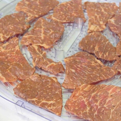 Marinated meat laid out flat in a single layer over a white plastic drying rack.