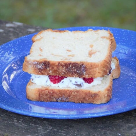 An unbaked toastie, with ricotta and raspberries sticking out, sits on a blue camping plate.