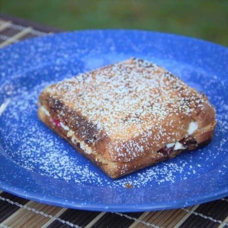 A finished golden brown raspberry and ricotta toastie sits on a blue camping plate, dusted with confectioners sugar.