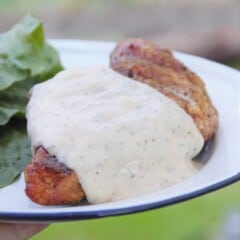 Homemade Alabama White Sauce served on a smoked chicken beast.
