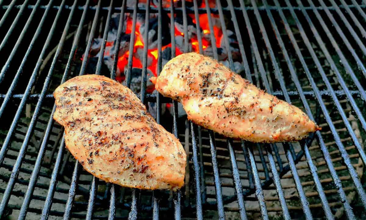 Grilled Chicken Alfredo Bush Cooking
