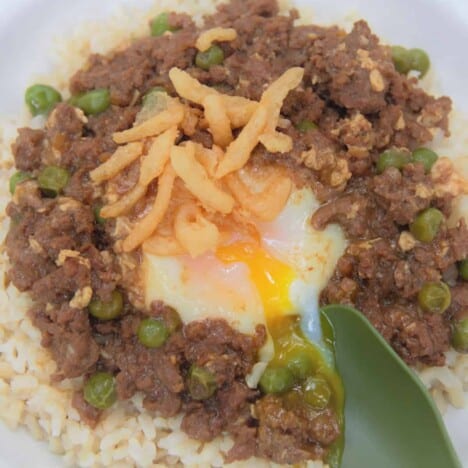 Looking down on rice topped with meat stew, topped with an egg and garnished with fried onion.