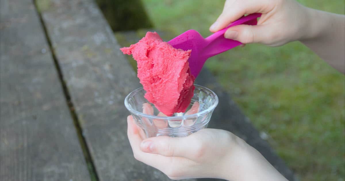 Easy Raspberry Sorbet | Bush Cooking