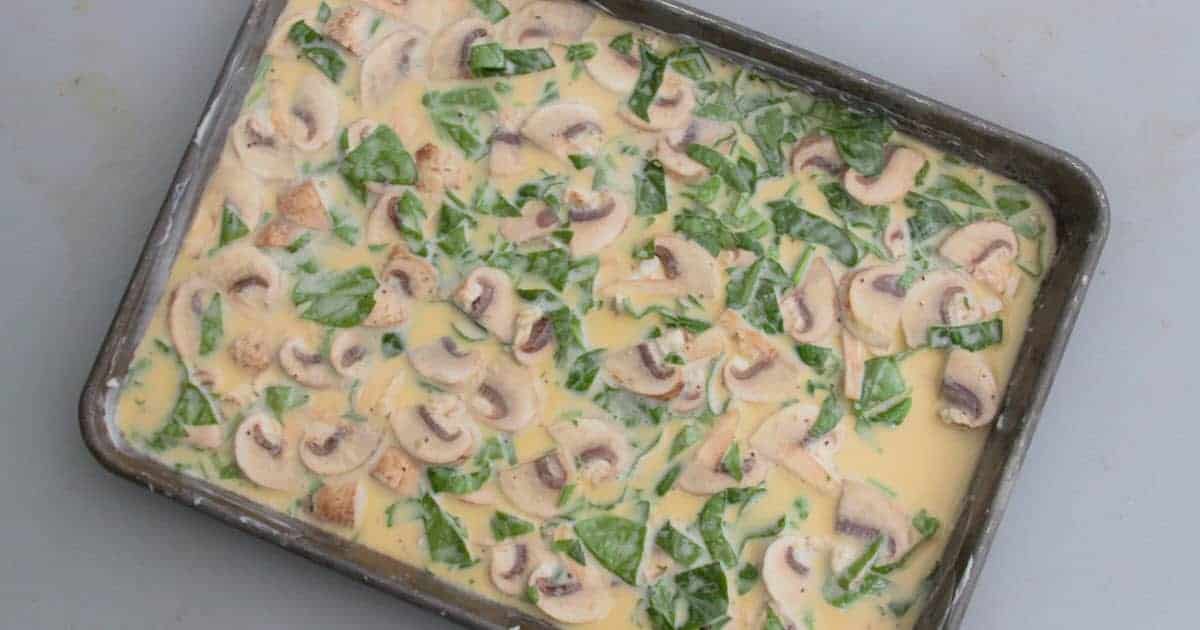Spinach and Mushroom Omelette | Bush Cooking