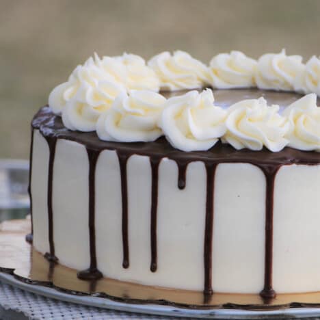 Close up of a chocolate coconut cake showing the chocolate drips down the side and piped flotets on the top.