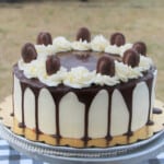 A fully decorated chocolate coconut cake served and ready to slice.