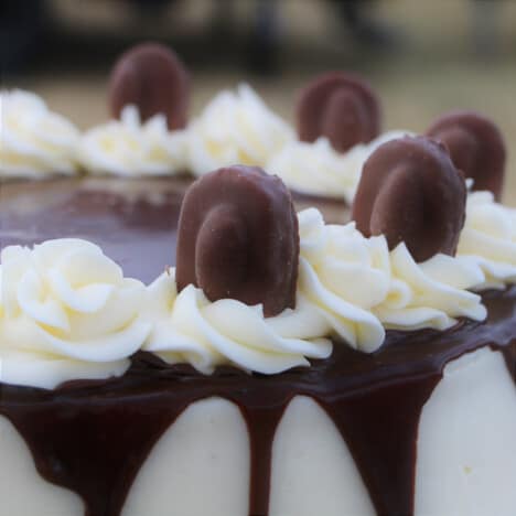 Close up of coconut chocolate bars in the chocolate coconut cakes decorations.