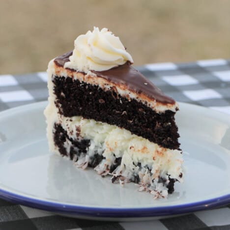 A slice of chocolate coconut cake on a white serving plate.