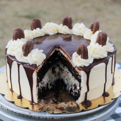 A finished chocolate coconut cake with a large slice taken out of the front.