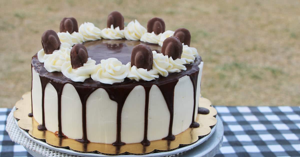 Chocolate Coconut Cake | Bush Cooking