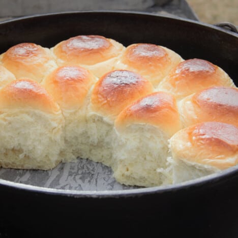 https://bushcooking.com/wp-content/uploads/2022/10/Dutch-Oven-Bread-Rolls-2a-468x468.jpg