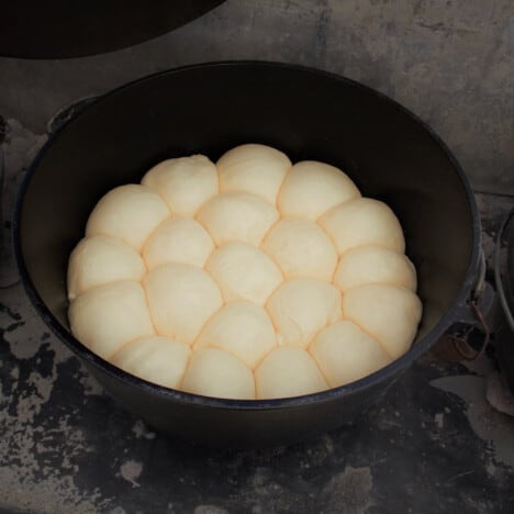 Looking into a Dutch oven with bread rolls formed and risen ready to cook.